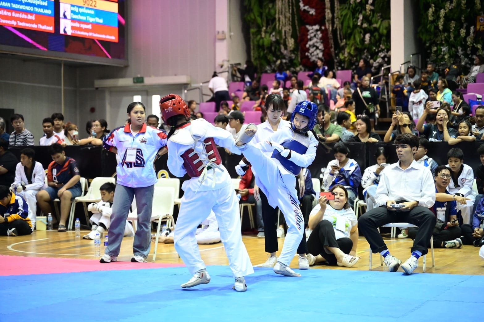 510076902 1365753131615321 1516693402864264493 n