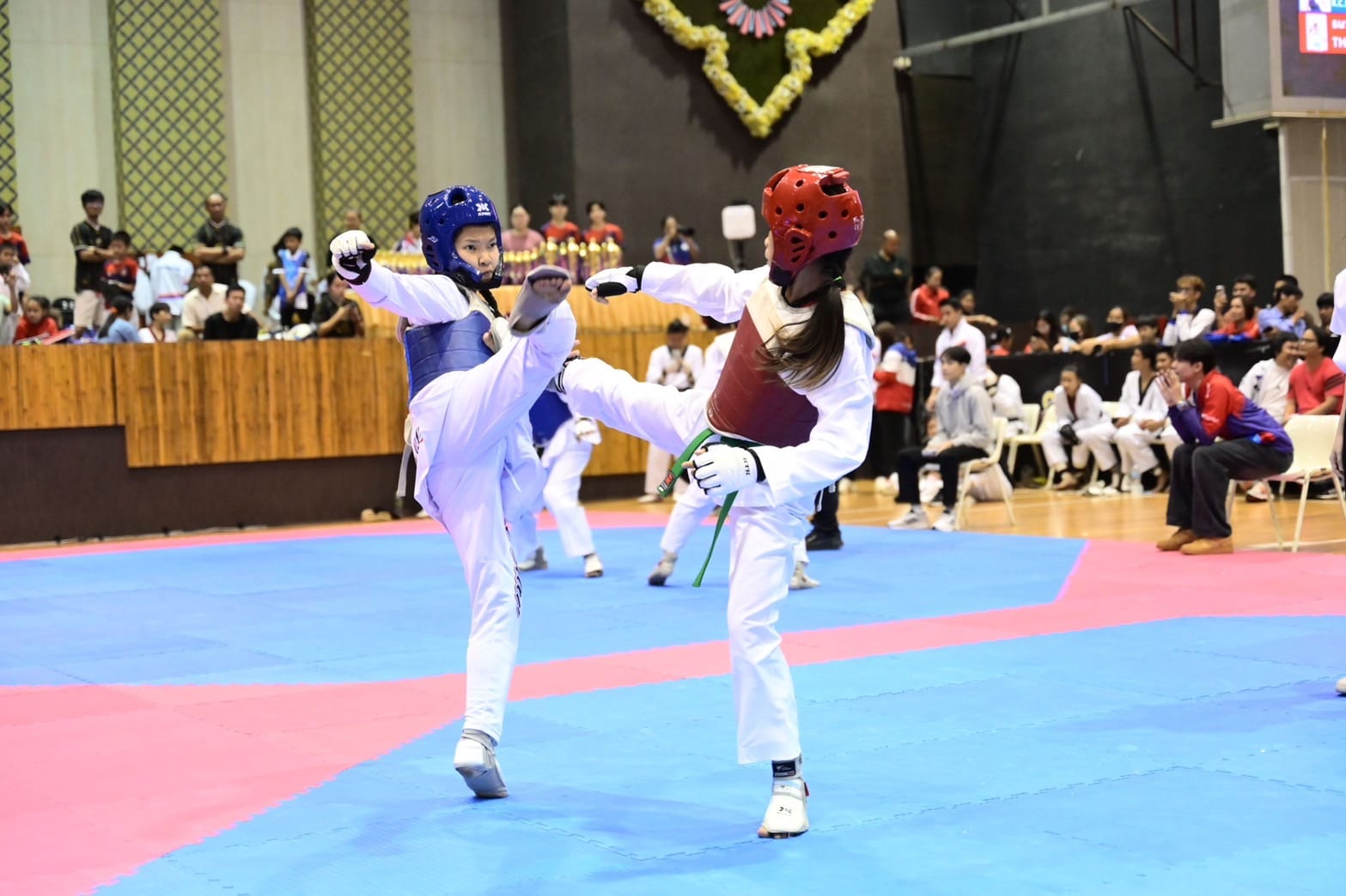 511873231 1365752991615335 858420505731358686 n